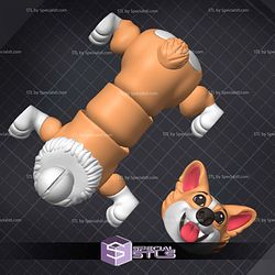 Super Basic STL Corgy Flexi