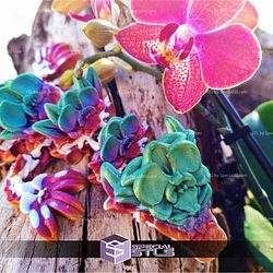 Super Basic STL Flexi Orchid Dragon
