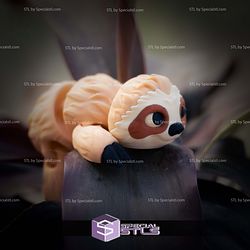 Super Basic STL Flexi Sloth Print In Place