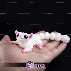 Super Basic STL Flexi Sugar Glider