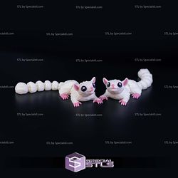 Super Basic STL Flexi Sugar Glider