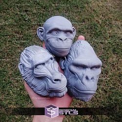 Wall hanging monkey set STL Files