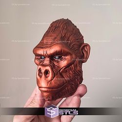 Wall hanging monkey set STL Files