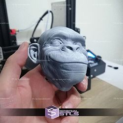 Wall hanging monkey set STL Files