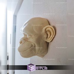 Wall hanging monkey set STL Files