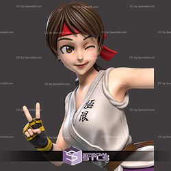 Yuri Sakazaki Posing 3D Printer Files