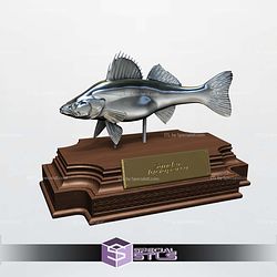 Zander Sander Lucioperca Display 3D Printer Files
