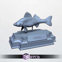 Zander Sander Lucioperca Display 3D Printer Files