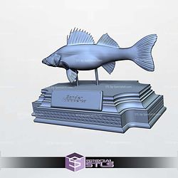 Zander Sander Lucioperca Display 3D Printer Files