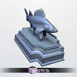 Zander Sander Lucioperca Display 3D Printer Files