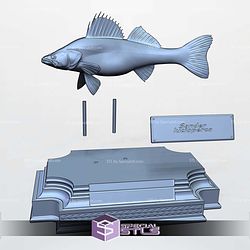 Zander Sander Lucioperca Display 3D Printer Files
