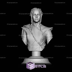 Daenerys Targaryen New Bust 3D Printer Files