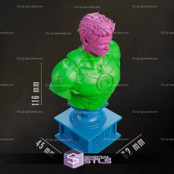 Green Lantern Bust 116mm 3D Printer Files