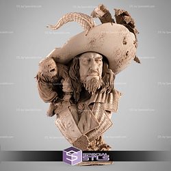 Hector Barbossa Portrait Bust 3D Printer Files