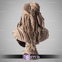 Jack Sparrow Portrait Bust 3D Printer Files