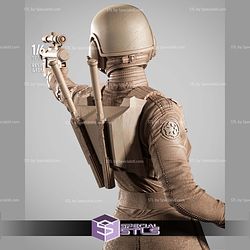 Jin Erso Starwars 3D Printer Files