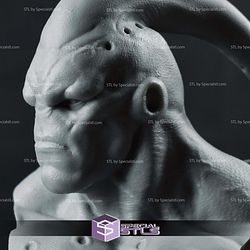 Majin Buu Bust 210mm 3D Printer Files