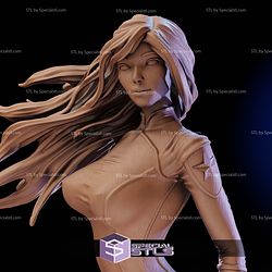 Niko The Adventures of the Galaxy Rangers 3D Printer Files
