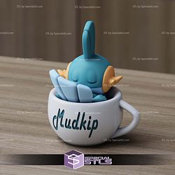Super Basic Pokemon STL Mudkip Chill Cup