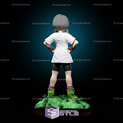 Videl 2 Hair Version 3D Printer Files