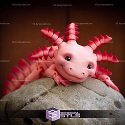 Basic STL Collection Articulated Axolotl Redux