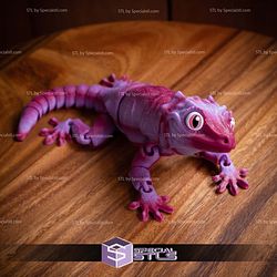 Basic STL Collection Articulated Gargoyle Gecko