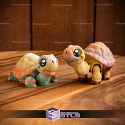 Basic STL Collection Articulated Tortoise
