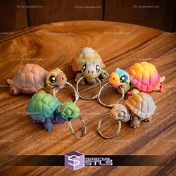 Basic STL Collection Articulated Tortoise