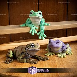 Basic STL Collection Articulated White Tree Frog