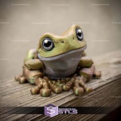 Basic STL Collection Articulated White Tree Frog