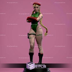 Cammy Folded Arms Pose 3D Printer Files