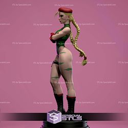 Cammy Folded Arms Pose 3D Printer Files