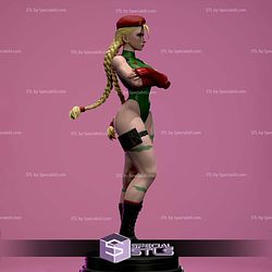 Cammy Folded Arms Pose 3D Printer Files