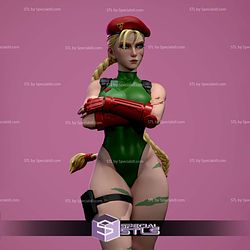 Cammy Folded Arms Pose 3D Printer Files