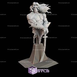 Conan The Barbarian Bust 3D Printer Files