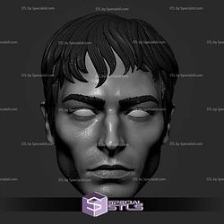 Custom Head STL Barry Allen Ezra Miller Flash