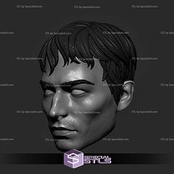 Custom Head STL Barry Allen Ezra Miller Flash