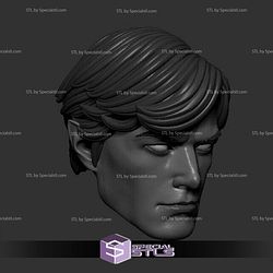 Custom Head STL Beast Boy Garfield Logan