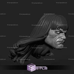 Custom Head STL Conan Simon Bisley