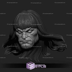 Custom Head STL Conan Simon Bisley