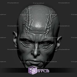 Custom Head STL Gorr God Butcher