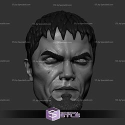 Custom Head STL Michael Shannon General Zod