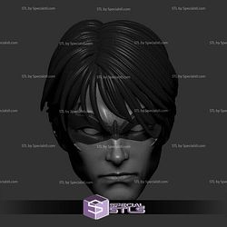 Custom Head STL Robin Boy Wonder Sidekick