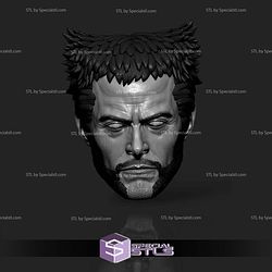 Custom Head STL Wolverine Logan Deadpool 3