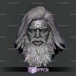 Custom Head STL Zeus God of the Sky