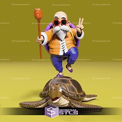 Master Roshi Hi on Turtle 3D Printer Files