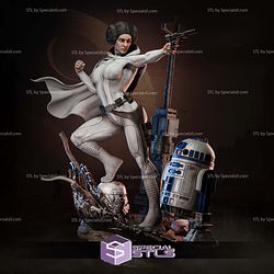 Princess Leia and Helmet 3D Printer Files