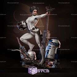Princess Leia and Helmet 3D Printer Files