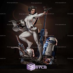 Princess Leia and Helmet 3D Printer Files