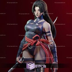 Psylocke Betsy 2 Pose 3D Printer Files